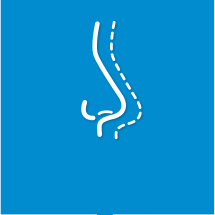 Corrective Nose